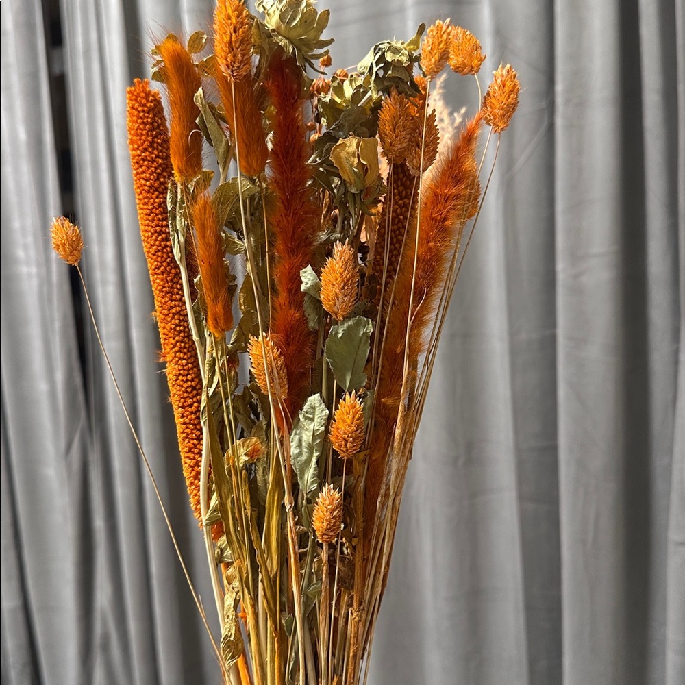 Anthropologie x Terrain Bordeaux Bouquet Dried Flower Arrangement Orange $60